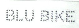 logo blu bike strass